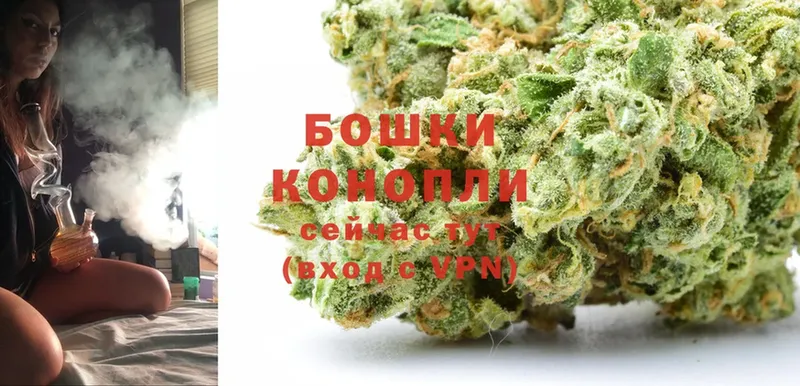 наркотики  Ивантеевка  Канабис SATIVA & INDICA 